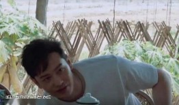 周迅爆料自己的外号视频,揭秘娱乐圈里的昵称趣闻